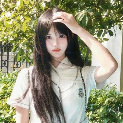 港湾第二季
